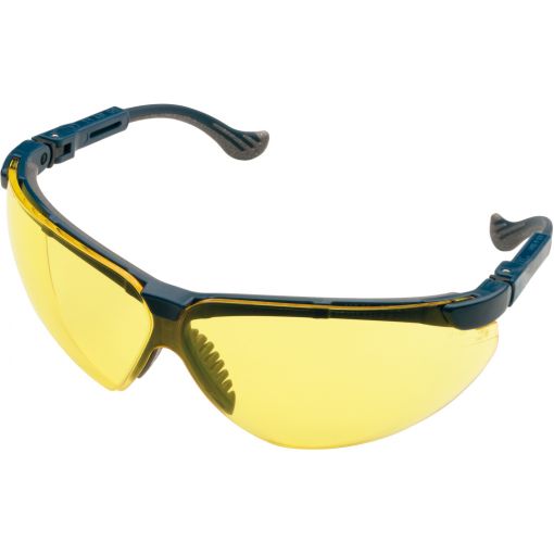 Schutzbrille XC | Schutzbrillen