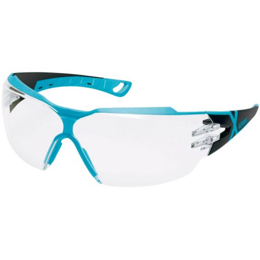 Schutzbrille pheos cx2, supravision excellence | Schutzbrillen