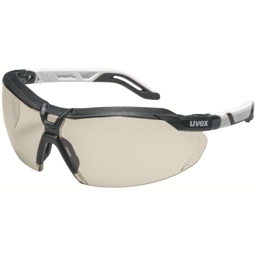 Schutzbrille i-5, supravision excellence | Schutzbrillen